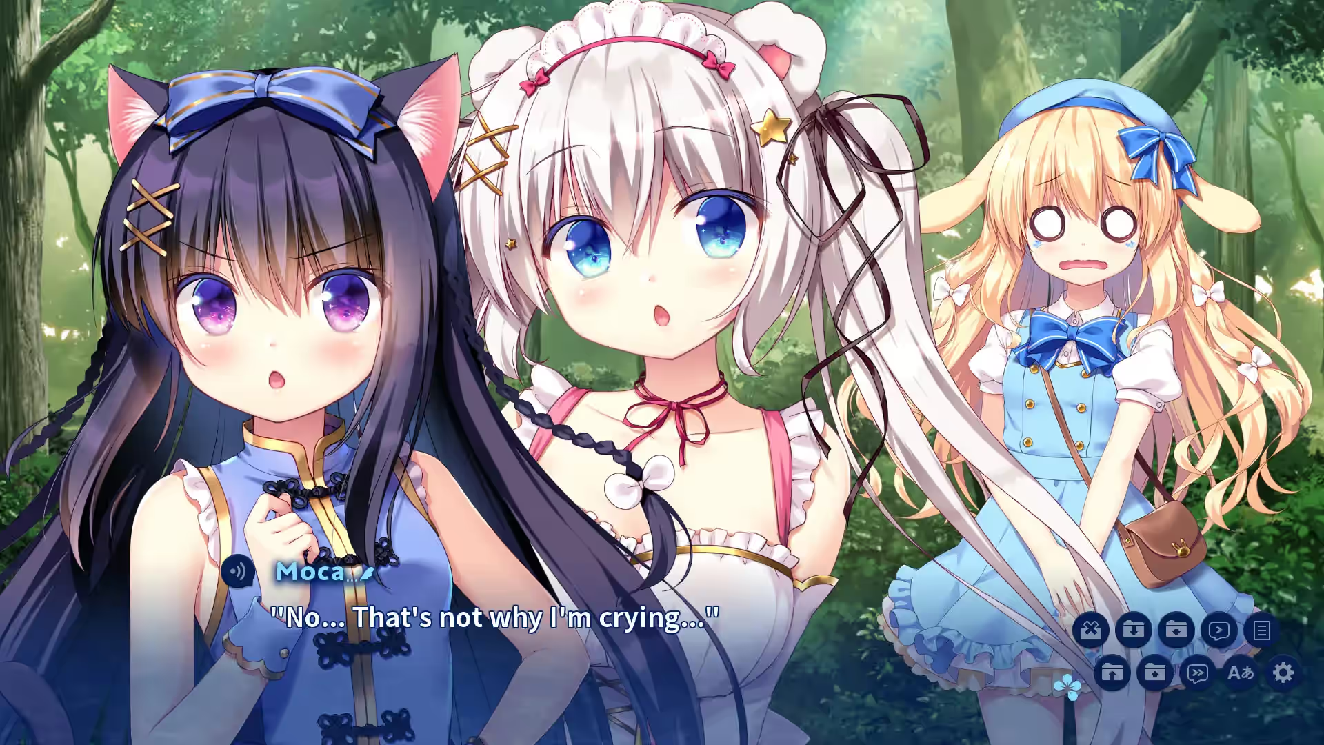 Steam_1559760_06.jpg