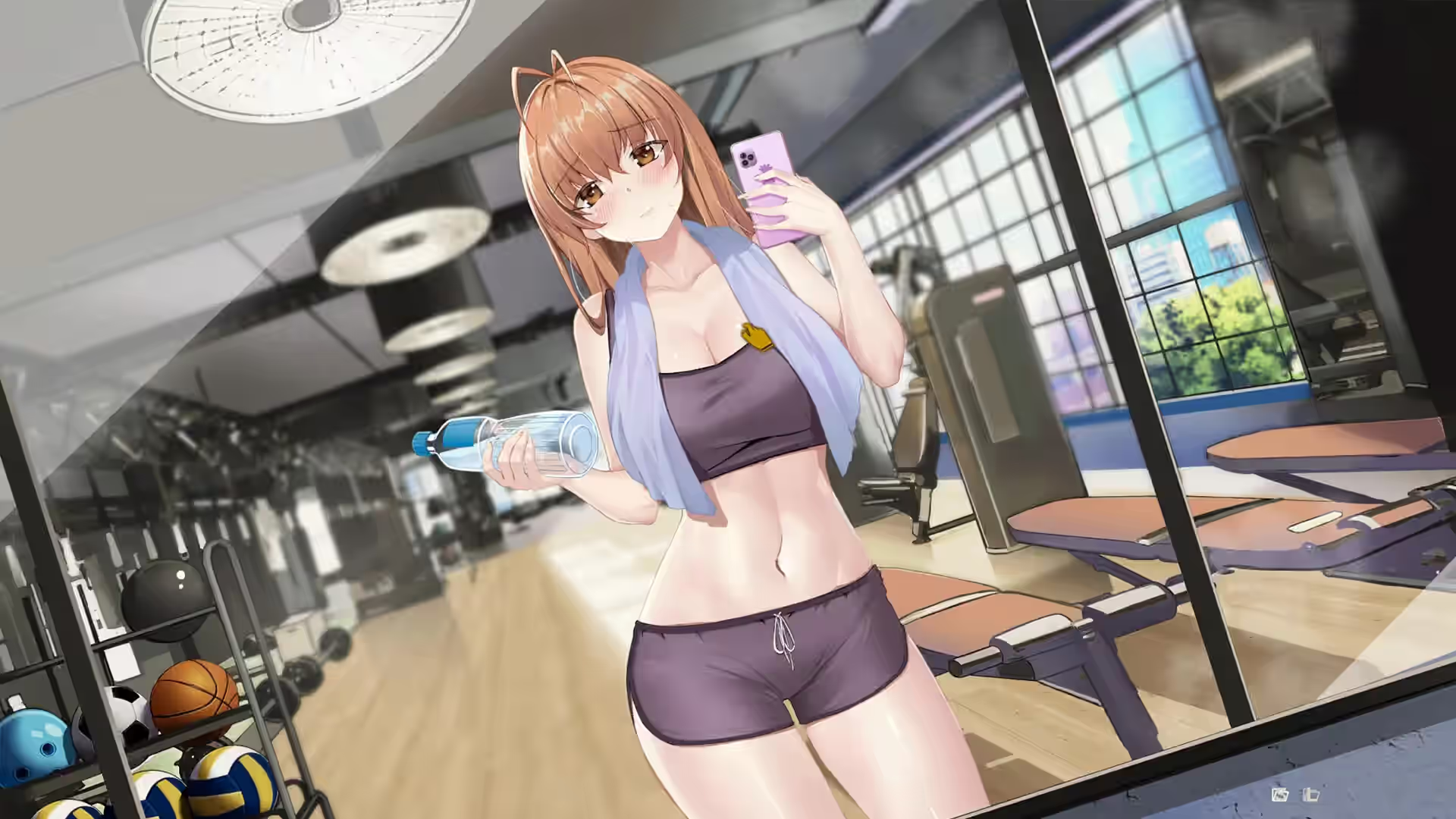 Steam_2078780_01.jpg