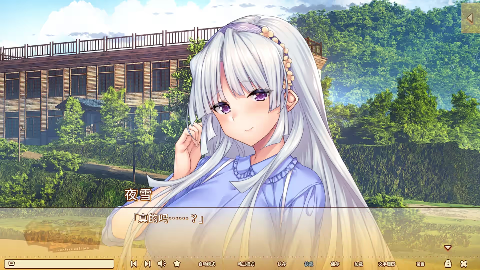 Steam_2825300_07.jpg