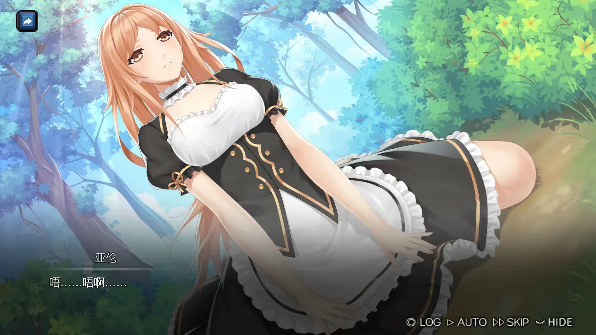 Steam_2122070_02.jpg